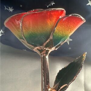 I Hate Steven Singer Rainbow Rose-real rose dipped in 14 karat rose gold.
